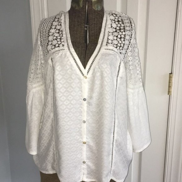 Beautiful Lace Yoke Blouse - Picture 3 of 3